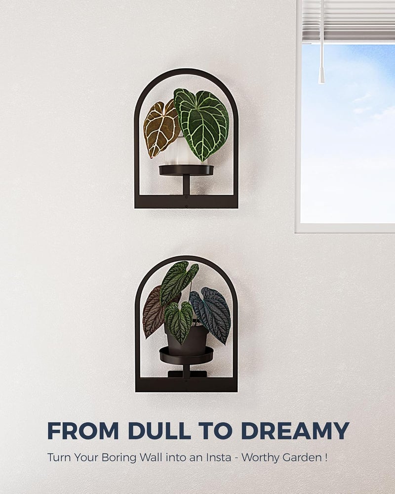 Bamworld Plant Stand Indoor, Plant Hanger Wall Planters for Indoor Plants Window Plant Shelves Plant Holder Wall Decor, Room Decor, Round (Patent Design) - Image 4